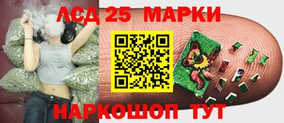 альфа пвп Новокубанск