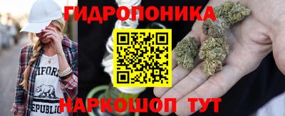 мет Новозыбков