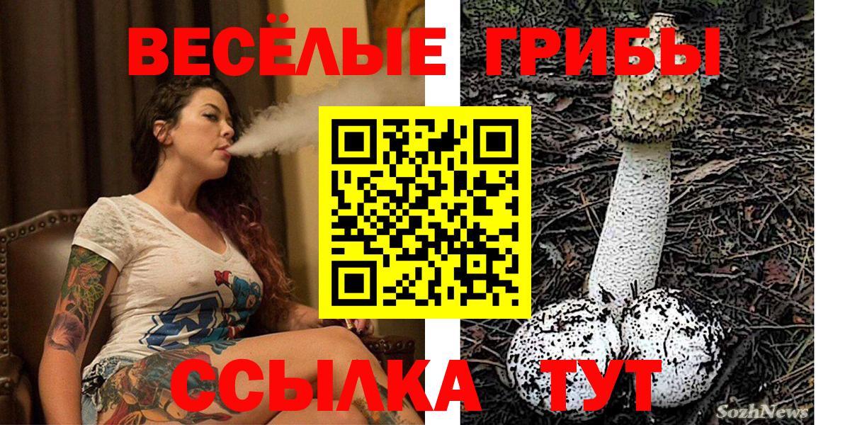 Галлюциногенные грибы MAGIC MUSHROOMS Сухой Лог