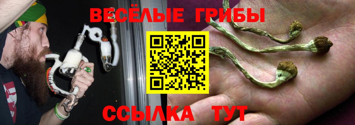 Сухой Лог  Галлюциногенные грибы мухоморы  Вход с VPN 